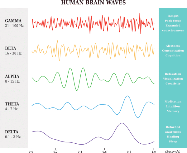 Illustration des différentes catégorie d'ondes cérébrales classés par fréquence et rôle
