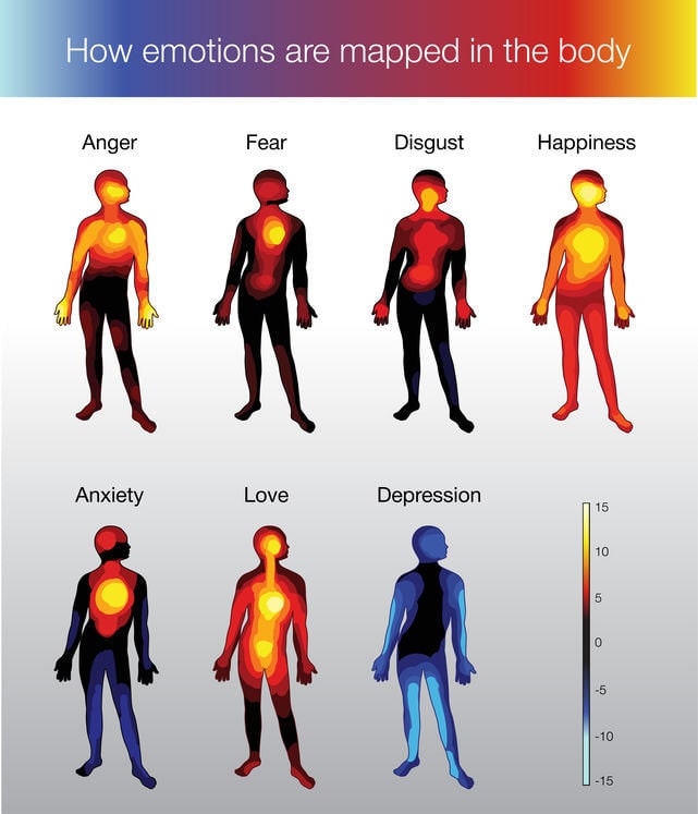 EMOTION BODY MAP